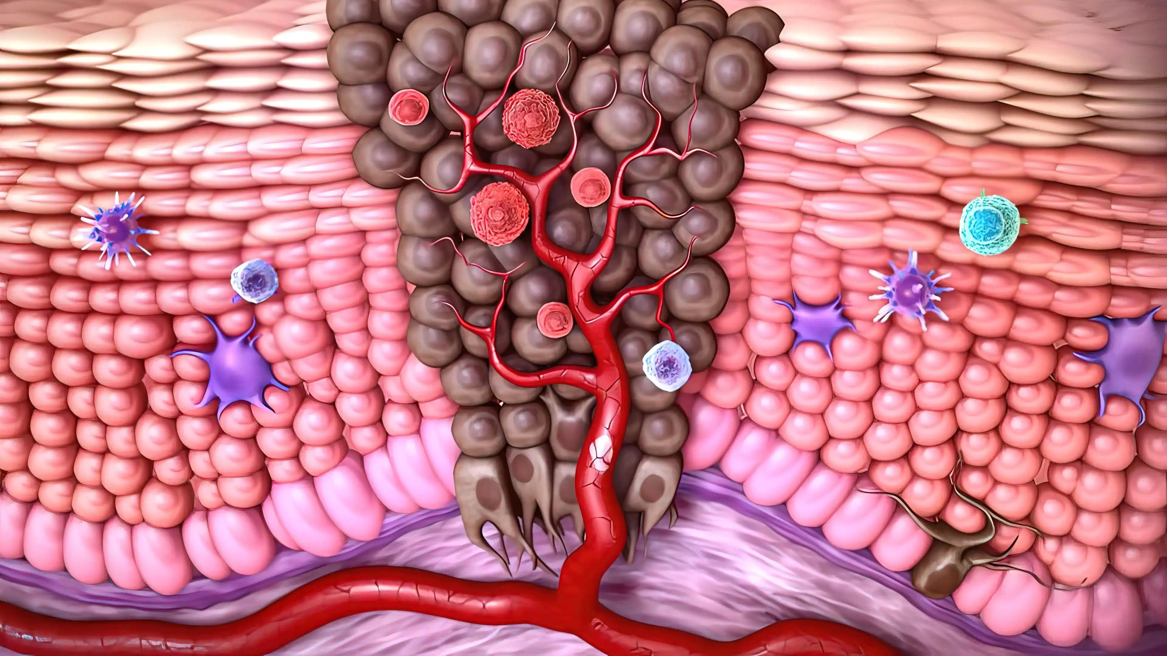 3D Process of Tumor Immunology and Immunotherapy