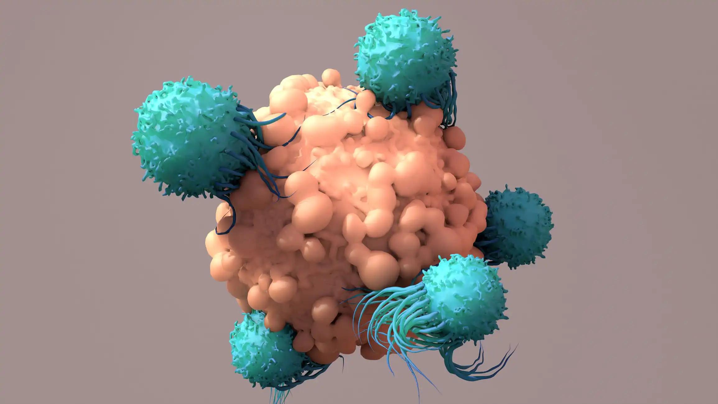 3D View of Blood Cells on Breast Tumor