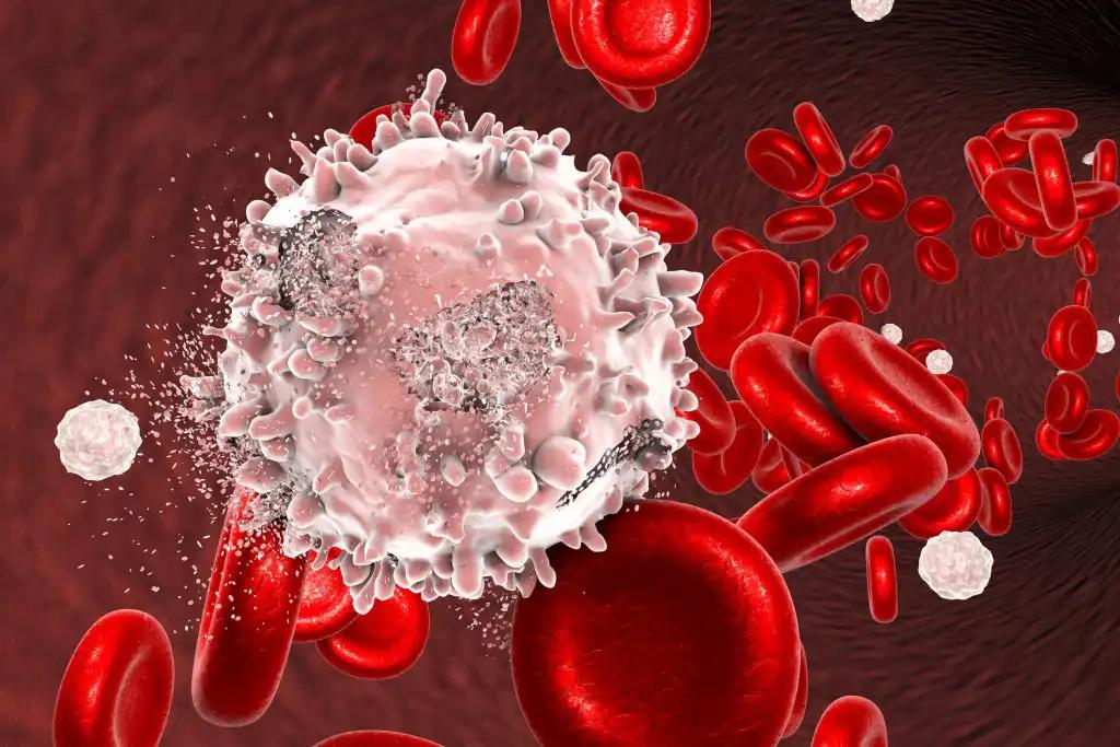 B-Cell Non-Hodgkin Lymphomas Cells