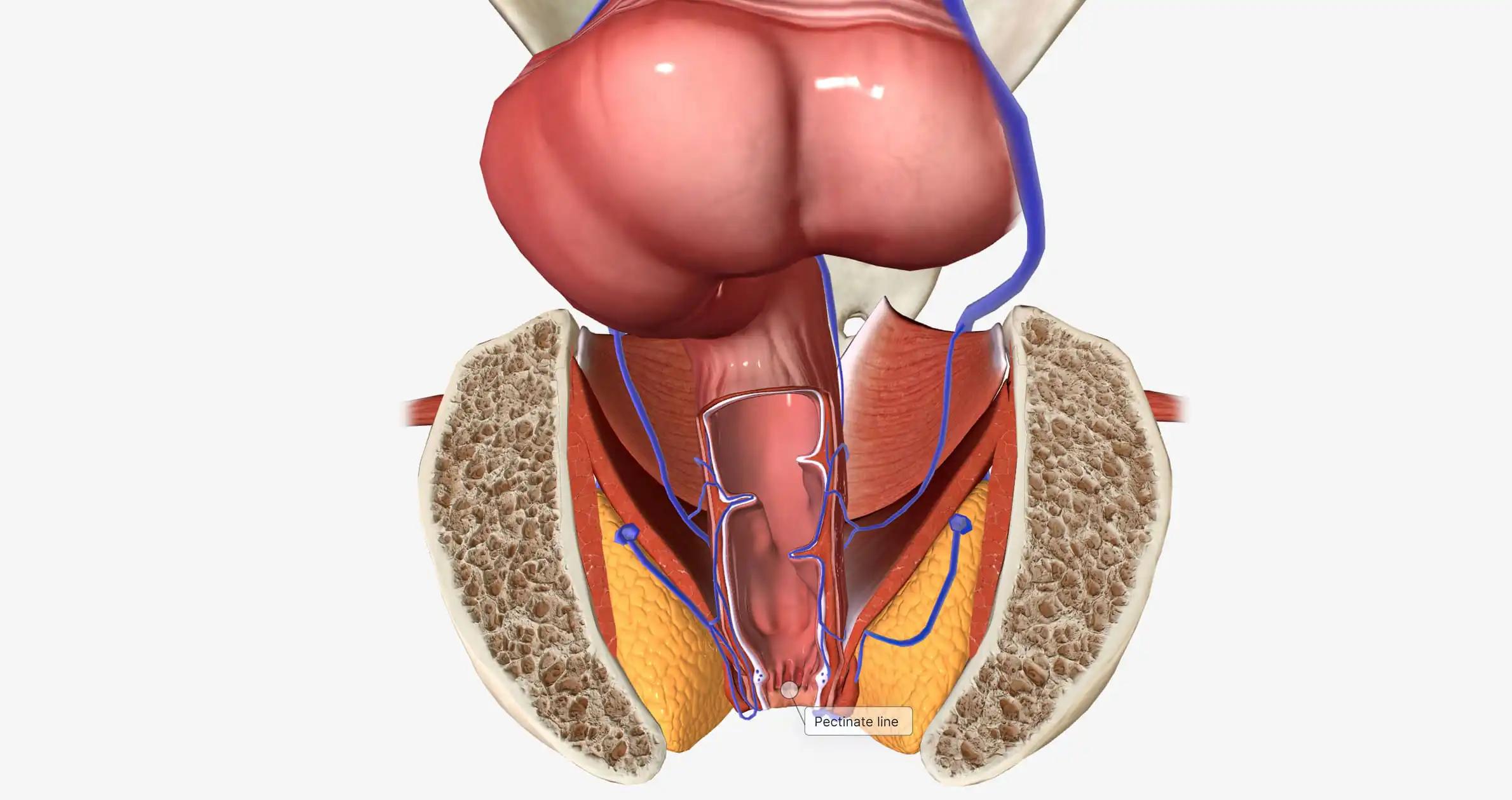 Advanced Tumors with Mismatch Repair