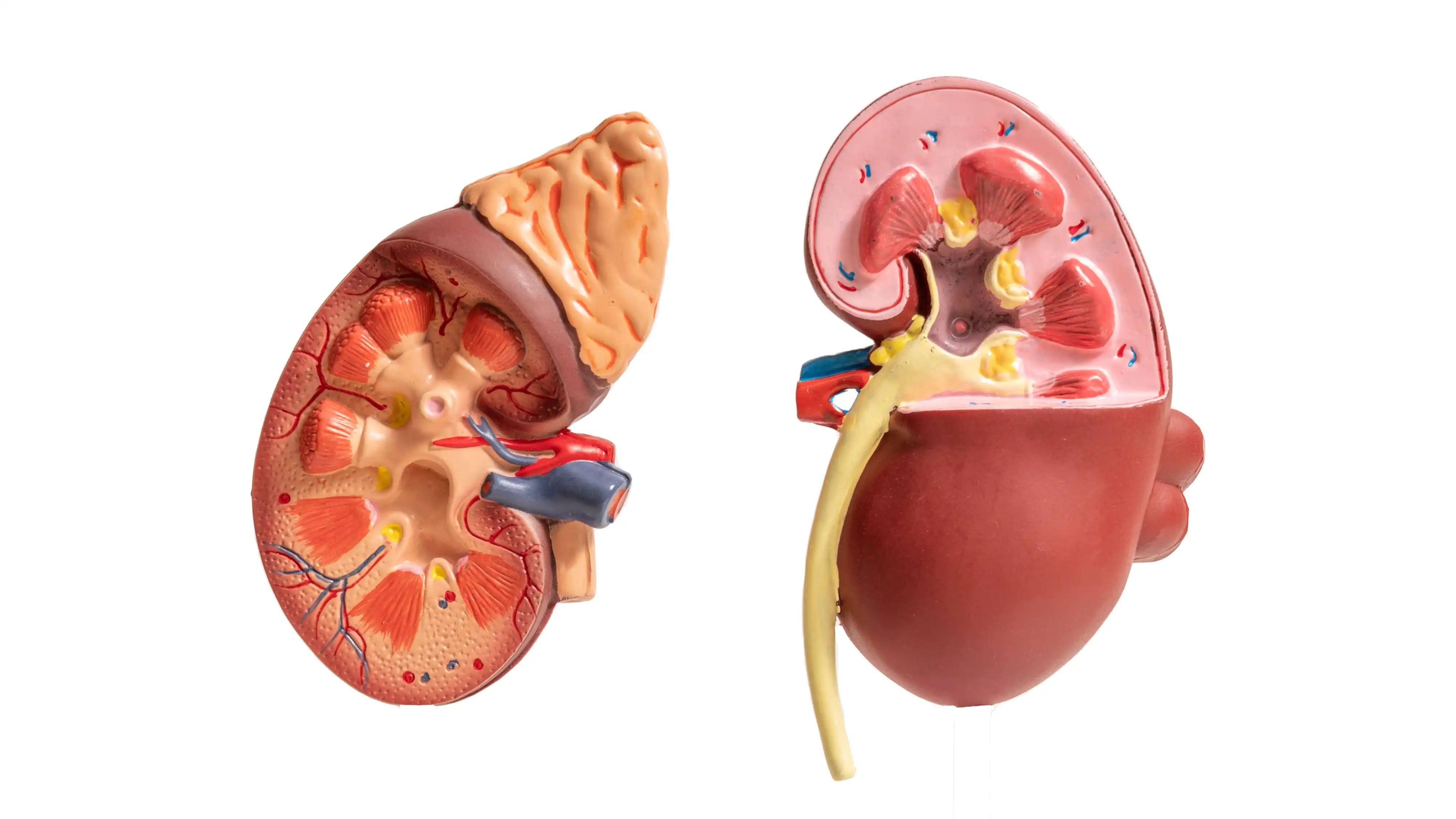 Alterations with Therapy Outcome