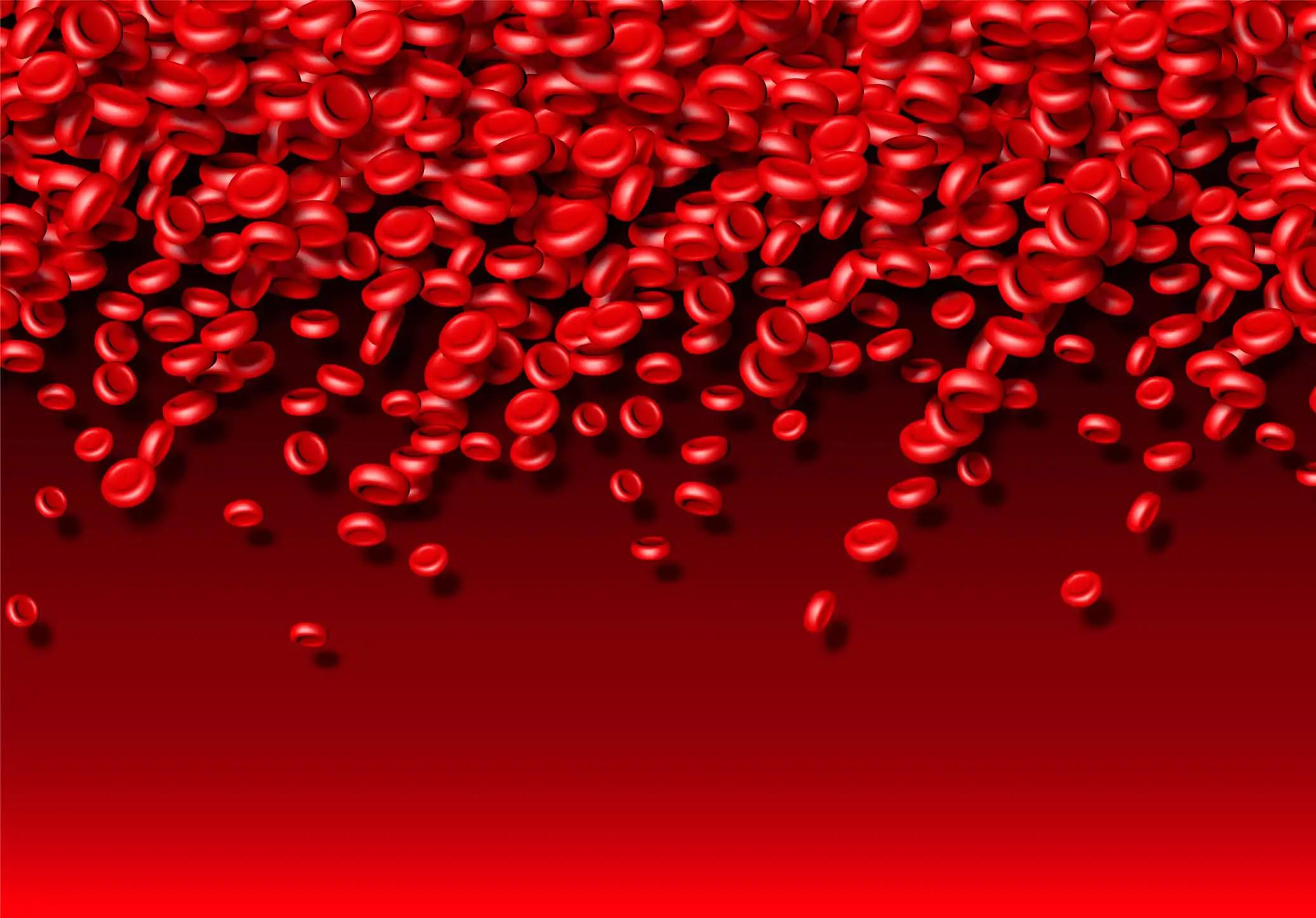 Blood Cells Red Erythrocites 3D