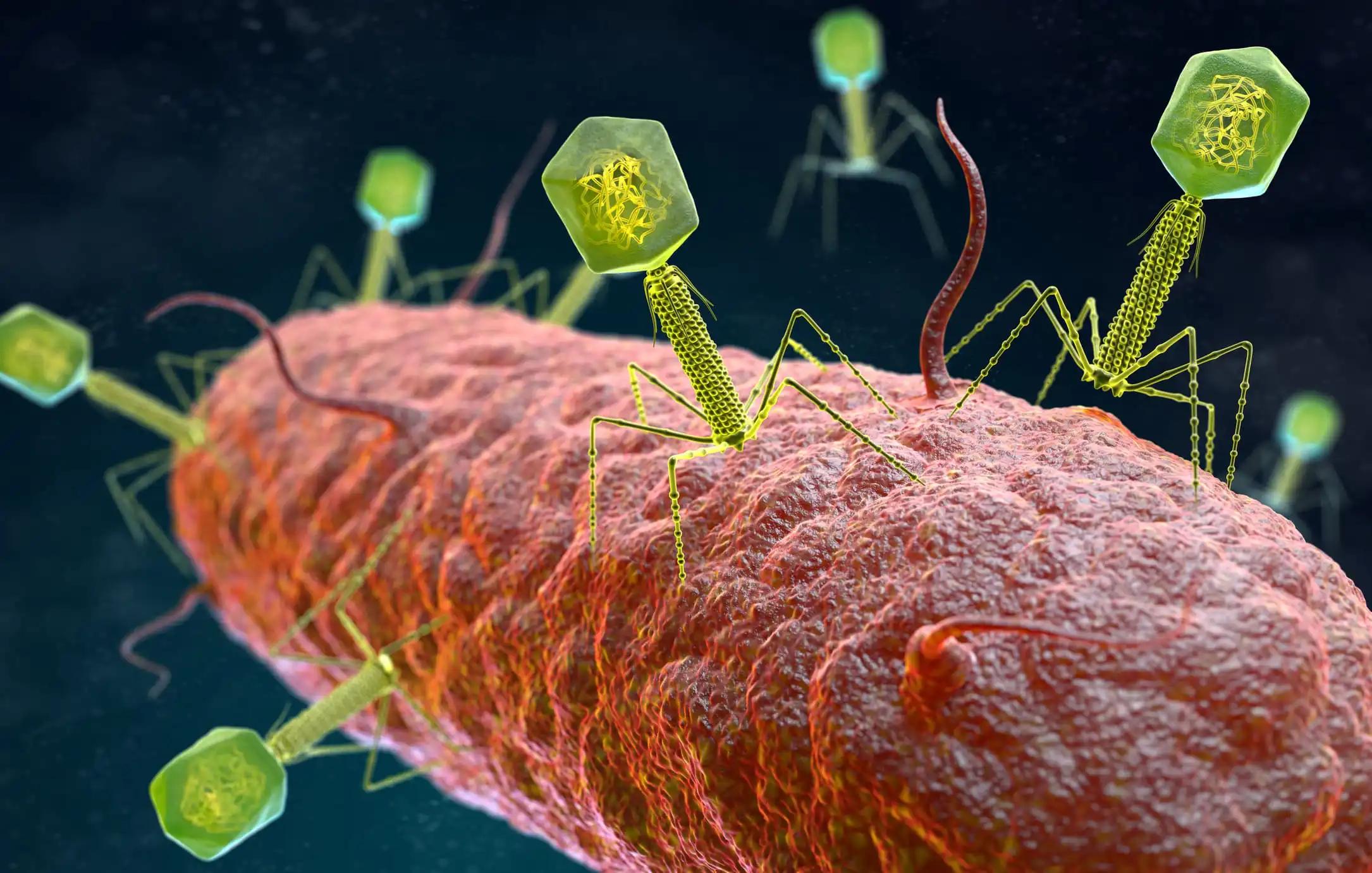 Cholangiocarcinoma Viral Transduction