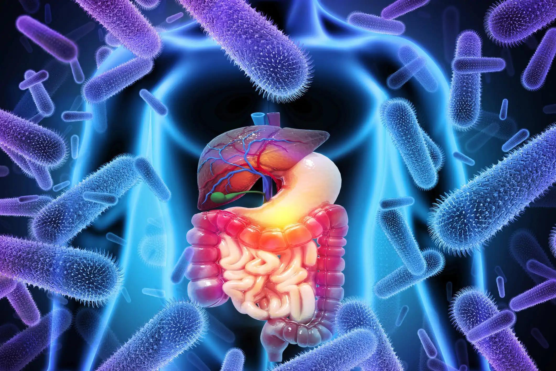 Close-up View of Bacterial Infection on Appendix