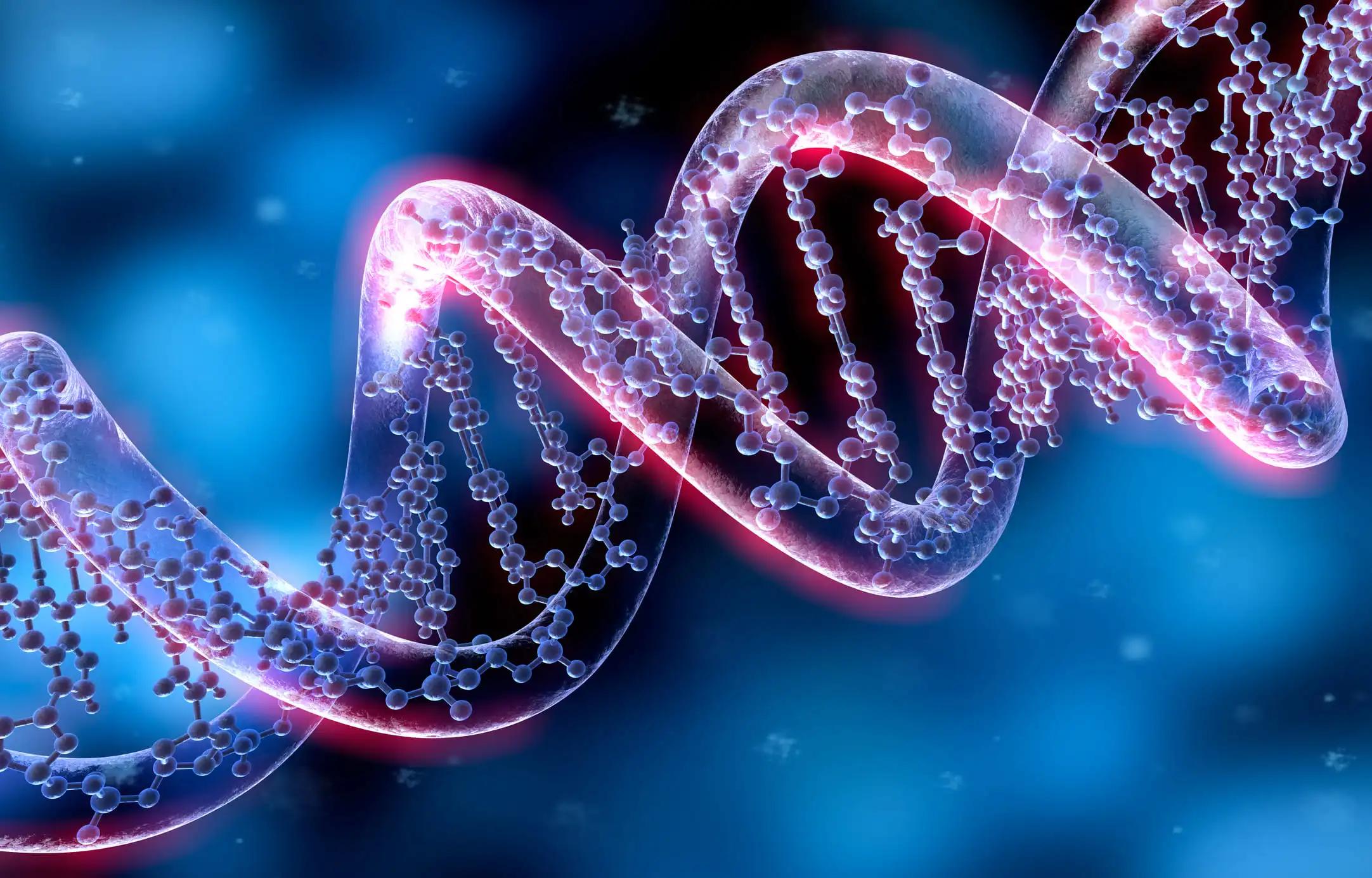 DNA Methylation in Bacteria Virulence Reproduction