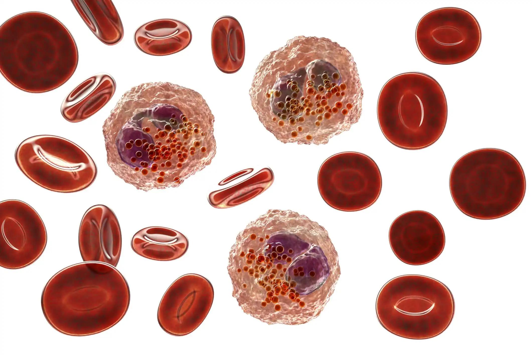 Eosinophils Surround by Red Blood Cells 3D