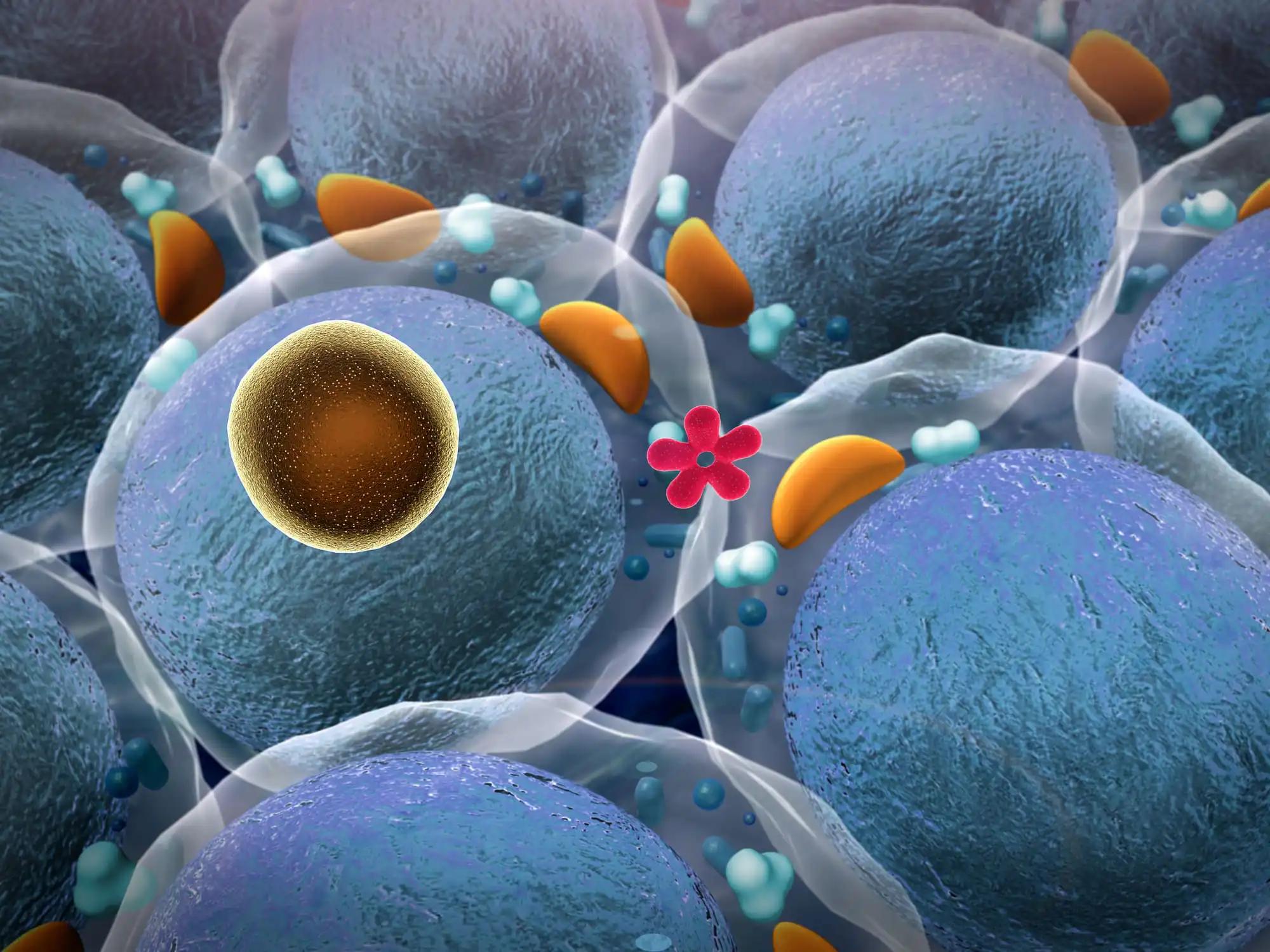 Fat Cells For Non-Small Cell Lung Cancer