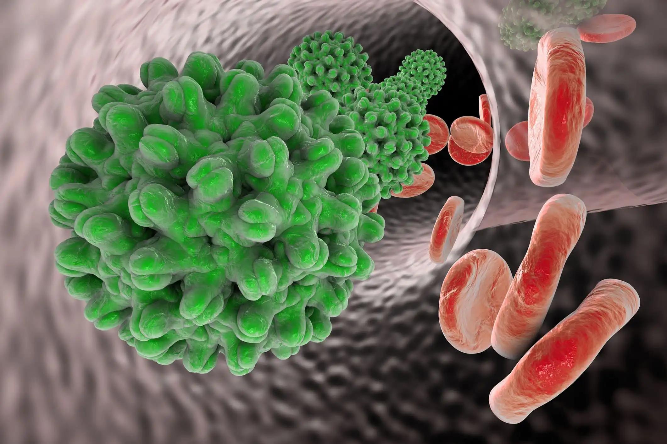 Hepatitis B Virus in Blood Vessel with Red Blood Cells