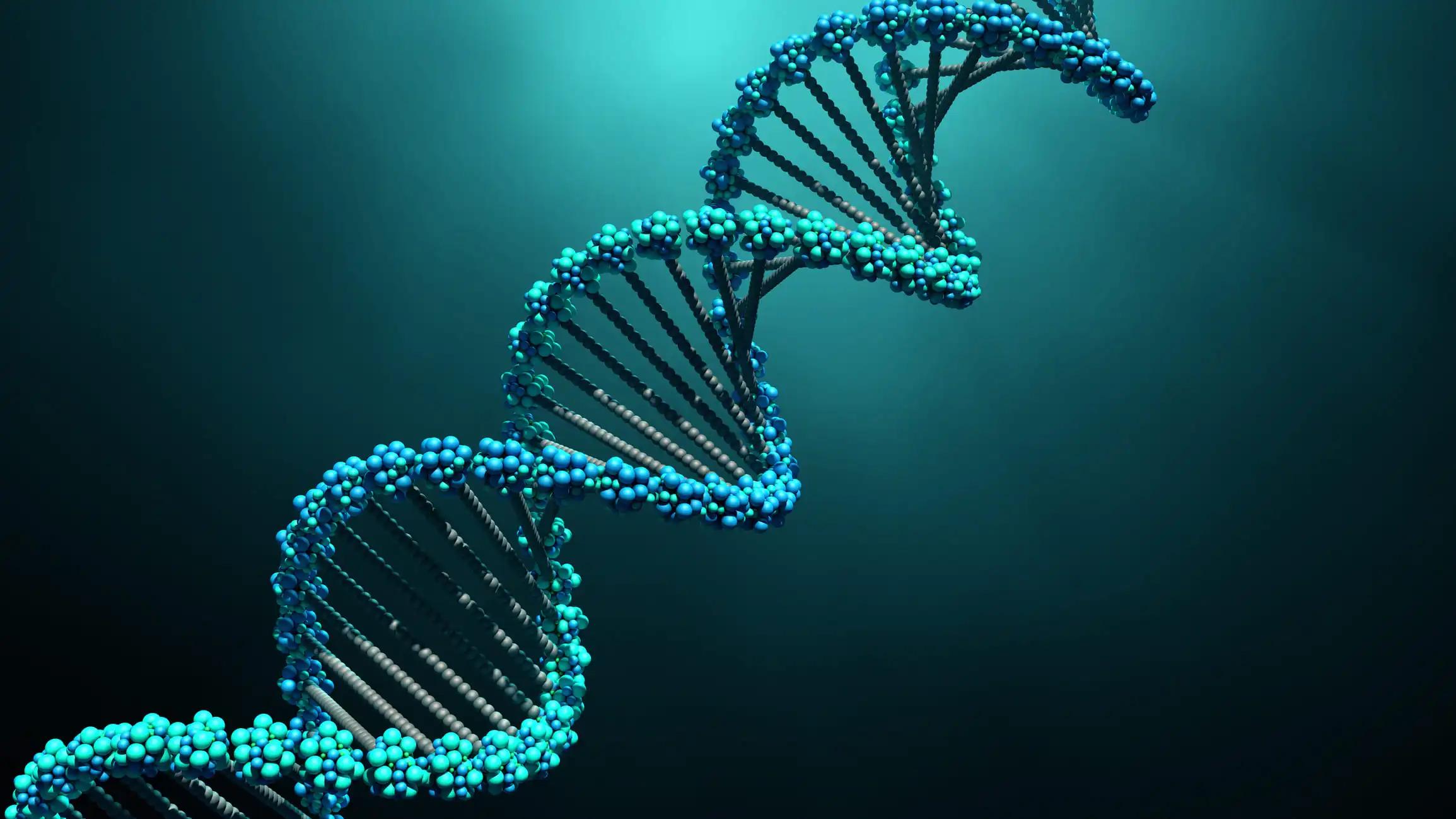 Human Helix DNA Structure