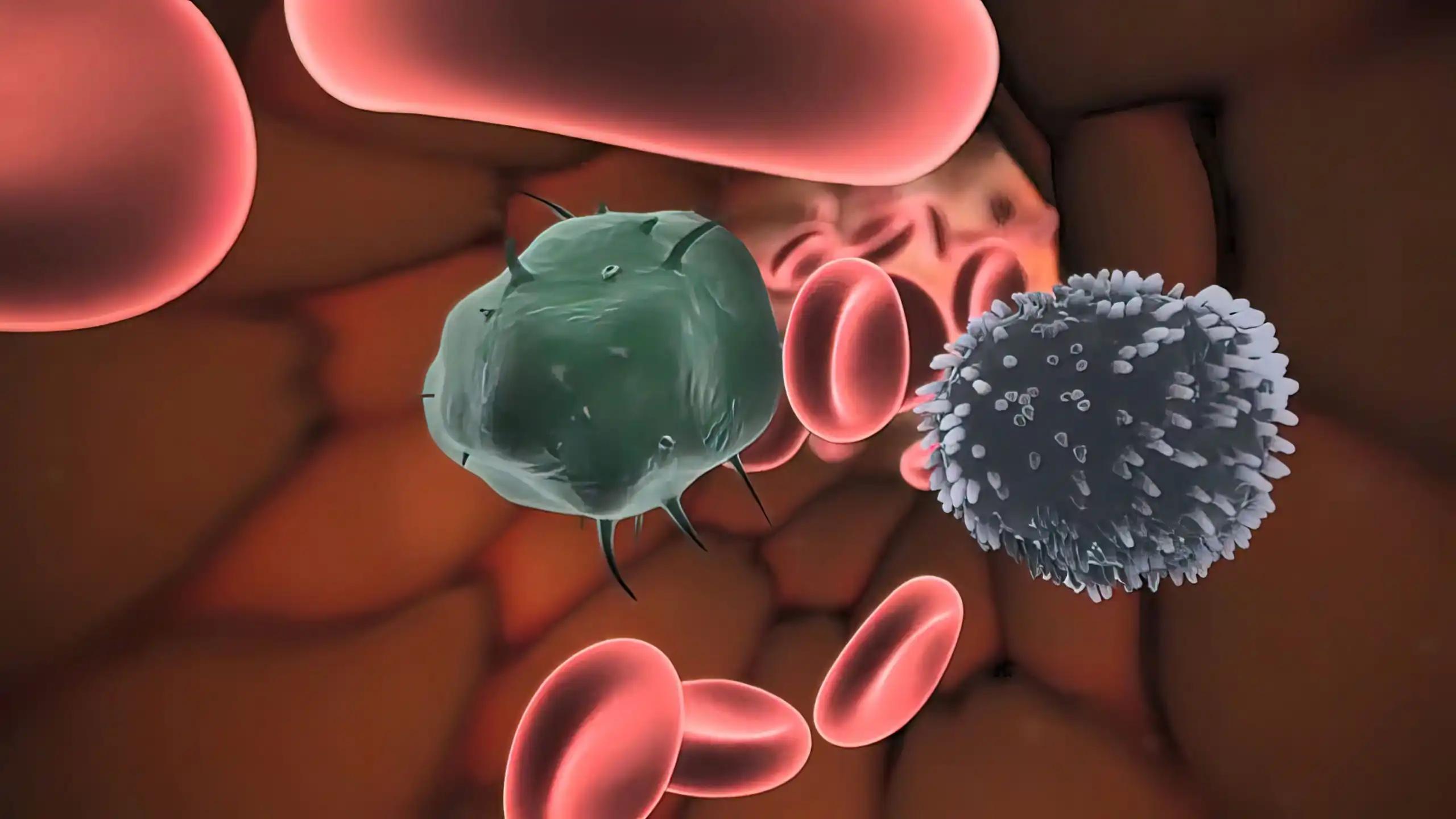 Inflammatory Cytokines and Antigen Presenting Cell Activation