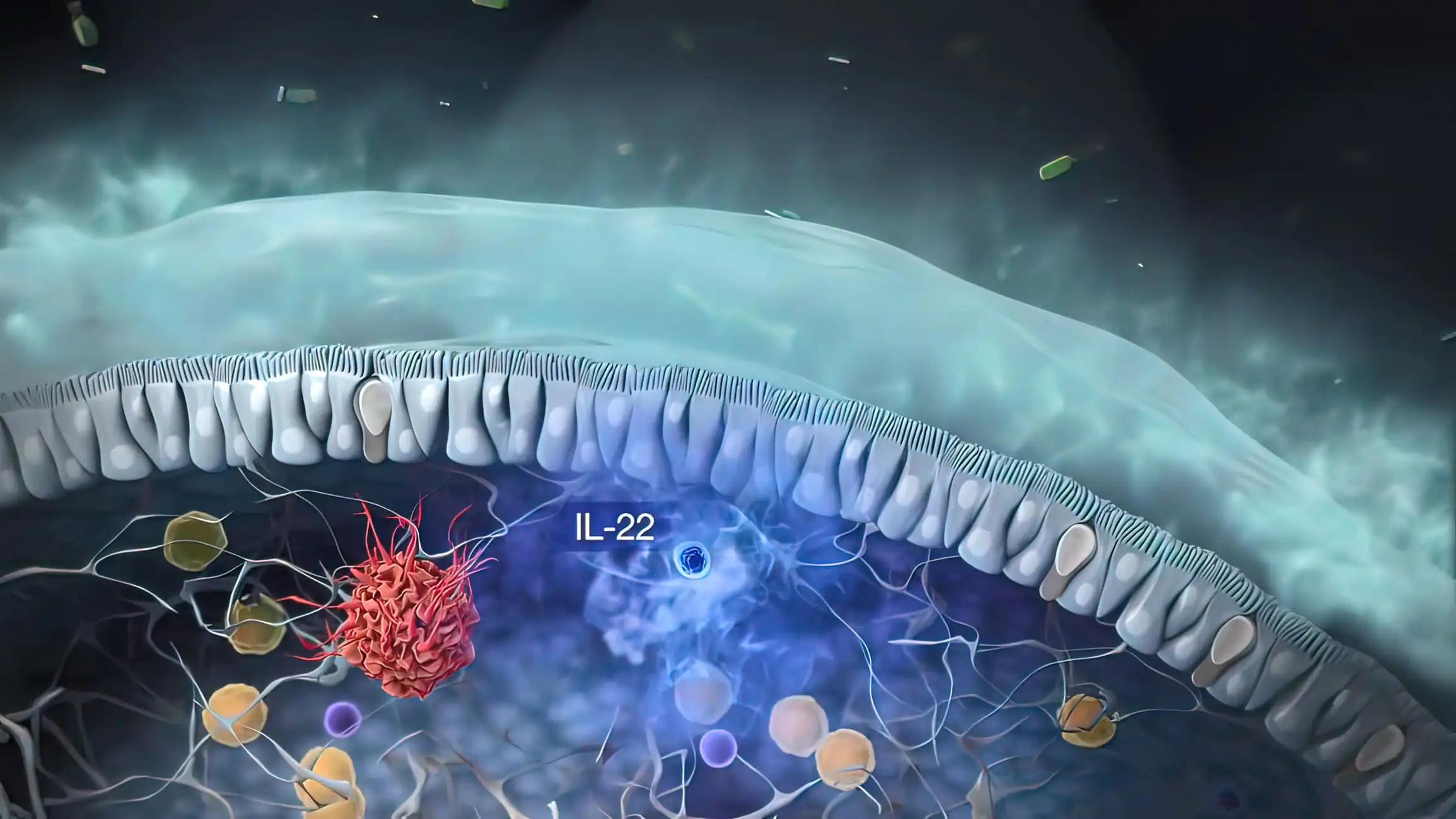 Innate Lymphoid Cells and Their Functions in Immunity