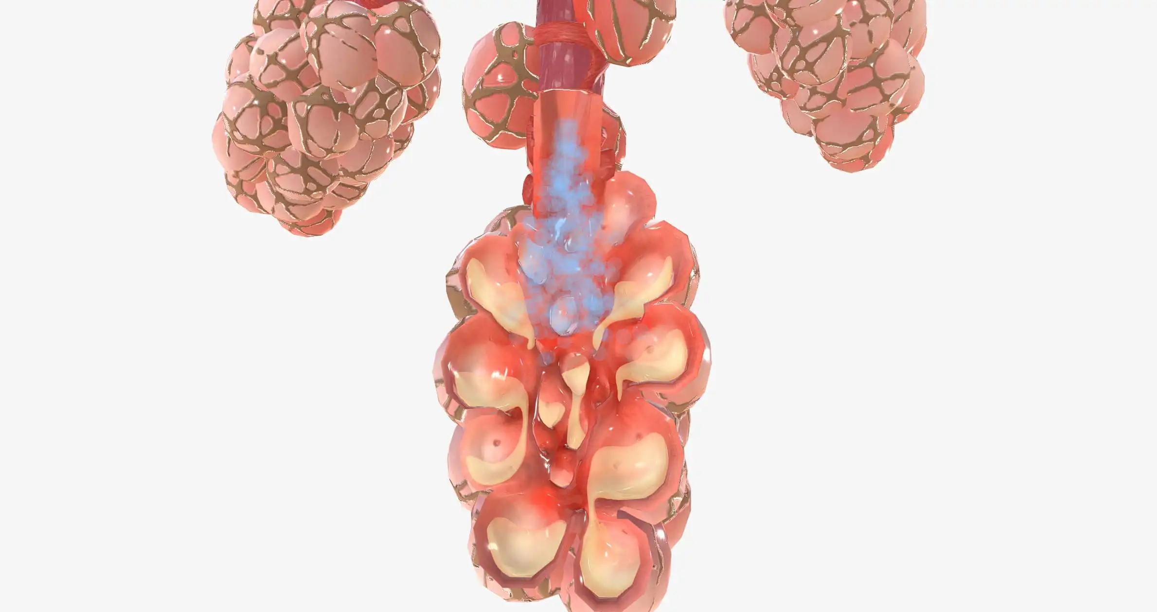 Investigating Pembrolizumab in Advanced Gastric Cancer