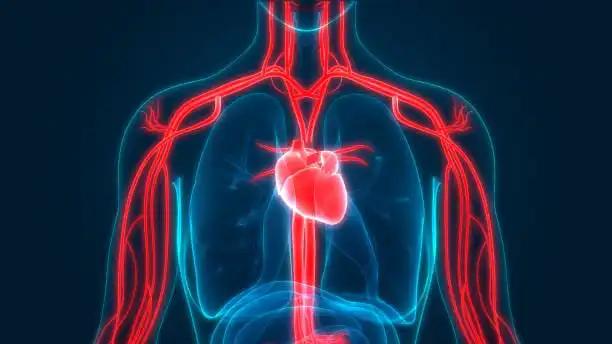 Lung Cancer Combination Therapy of Adebrelimab