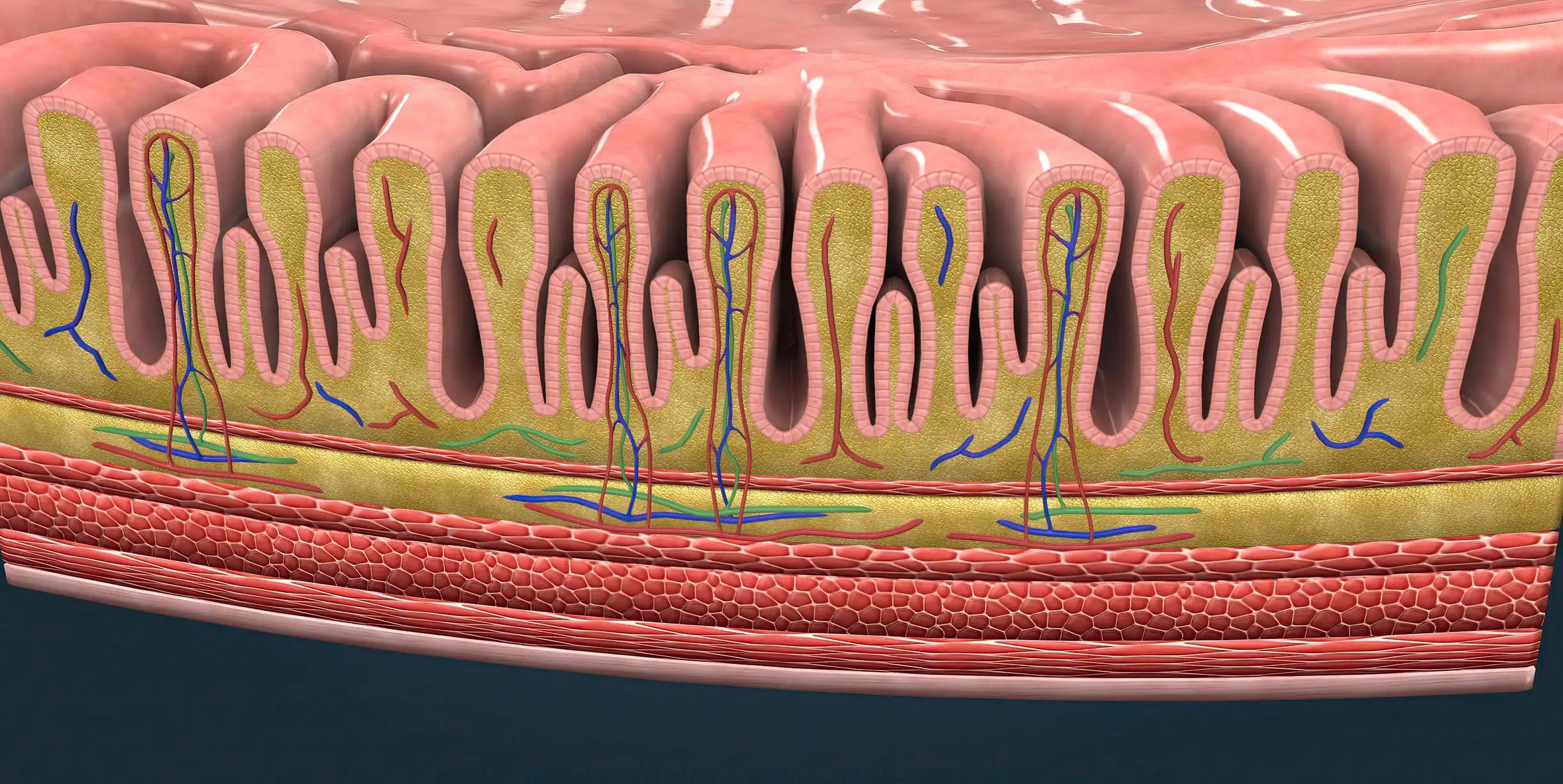 Mutated Breast Cancer Skin Layers