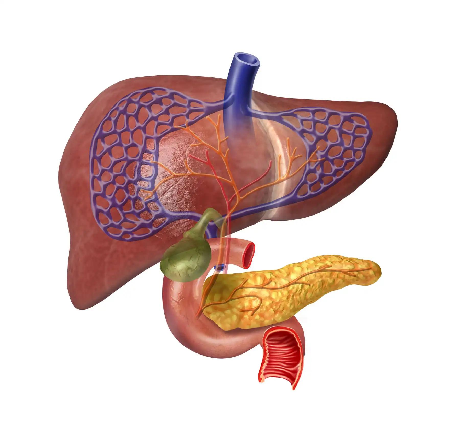 Oddi Dysfunction Pancreatic cancer