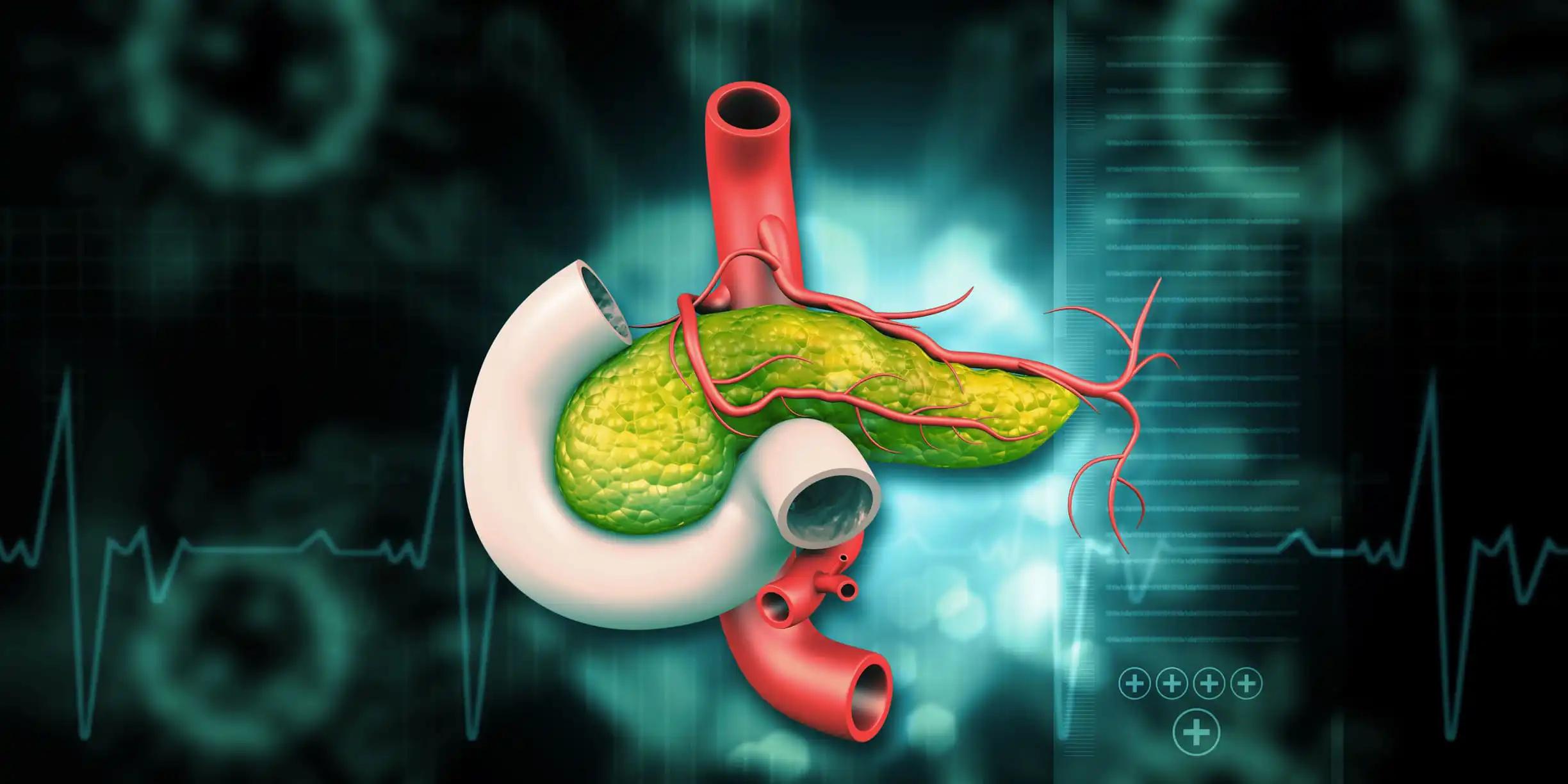 Pancreas on Medical