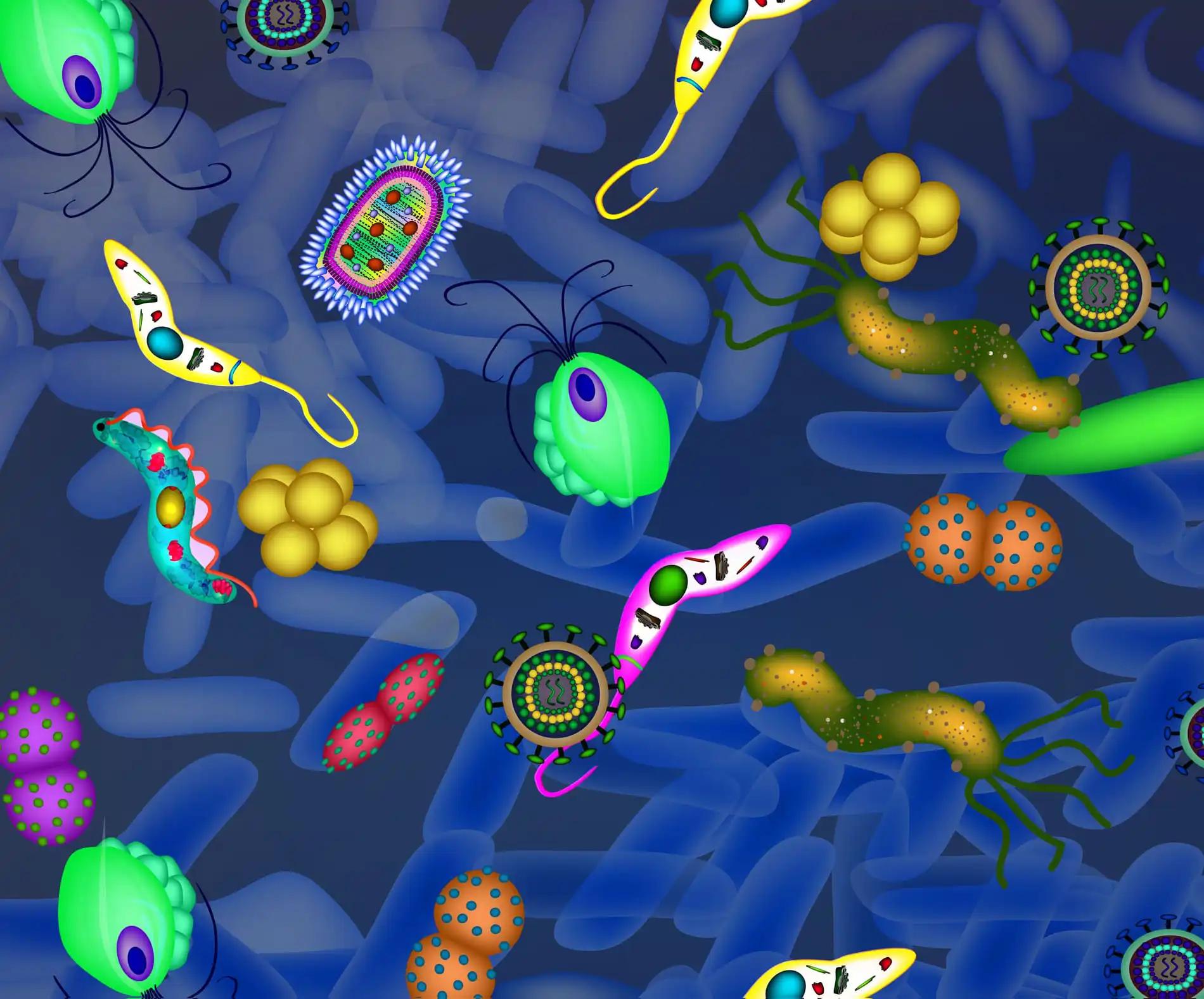 Pathogenic Microflora in the Intestine