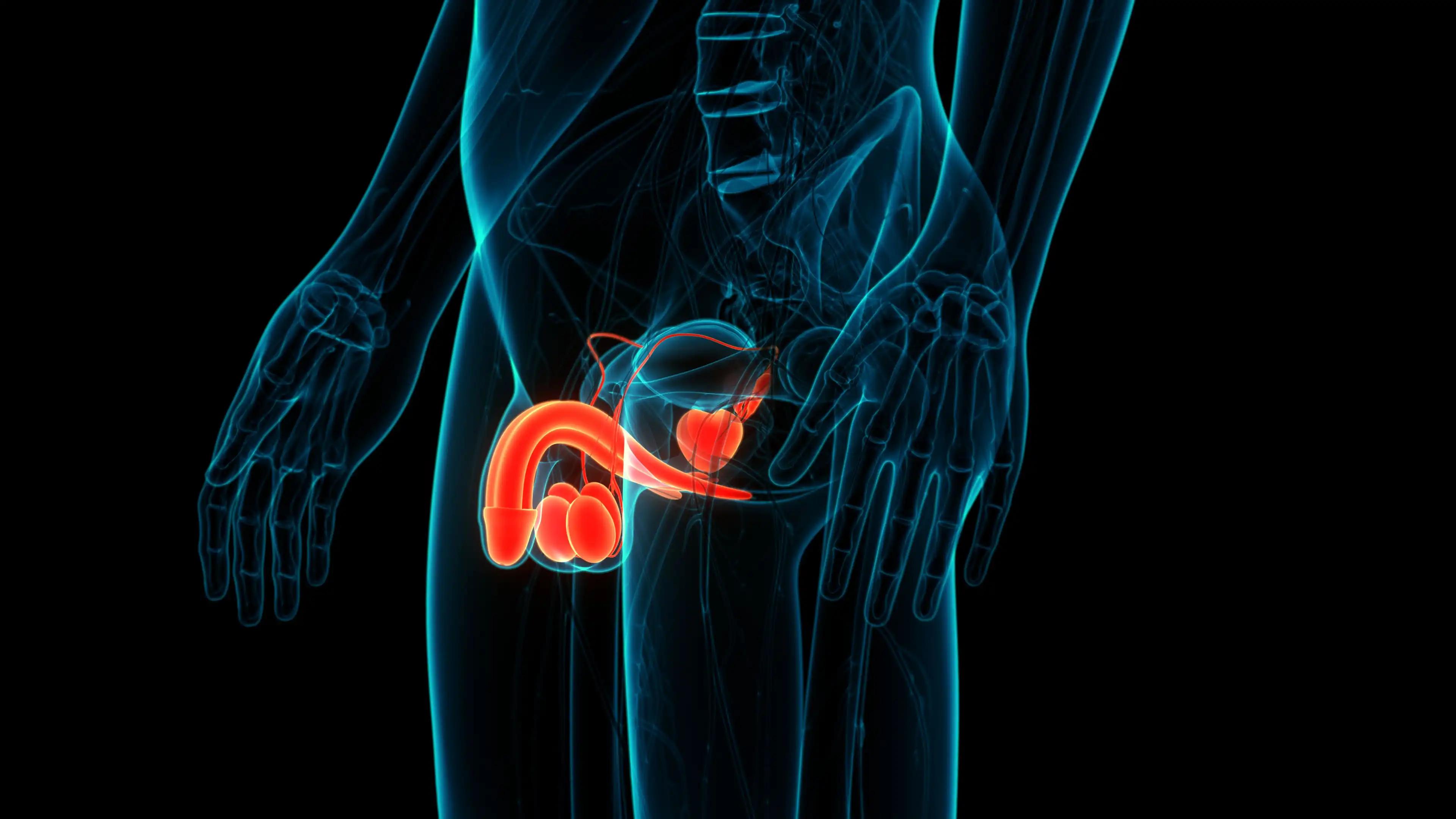 Pembrolizumab Olaparib Treatment