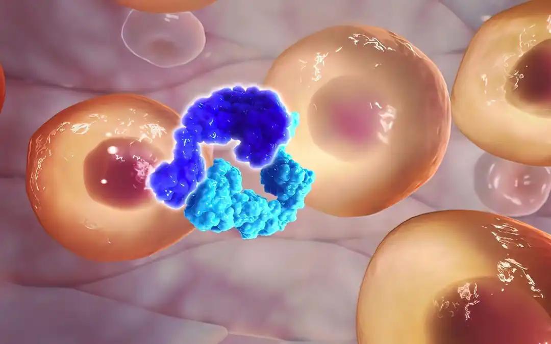 ScRNA-seq Identifies M2 Macrophage Markers for PCa Prognosis