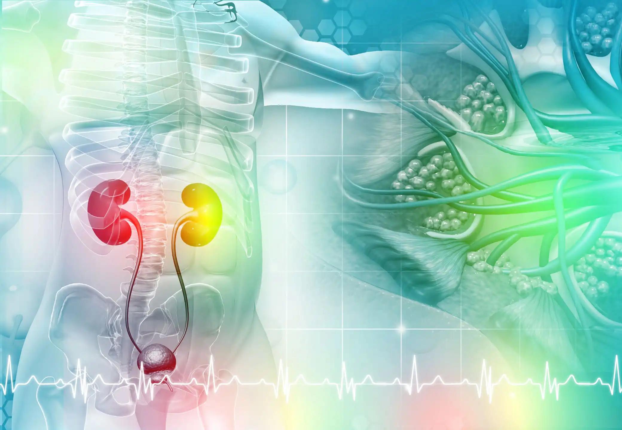 Renal Cell Carcinoma Treatment