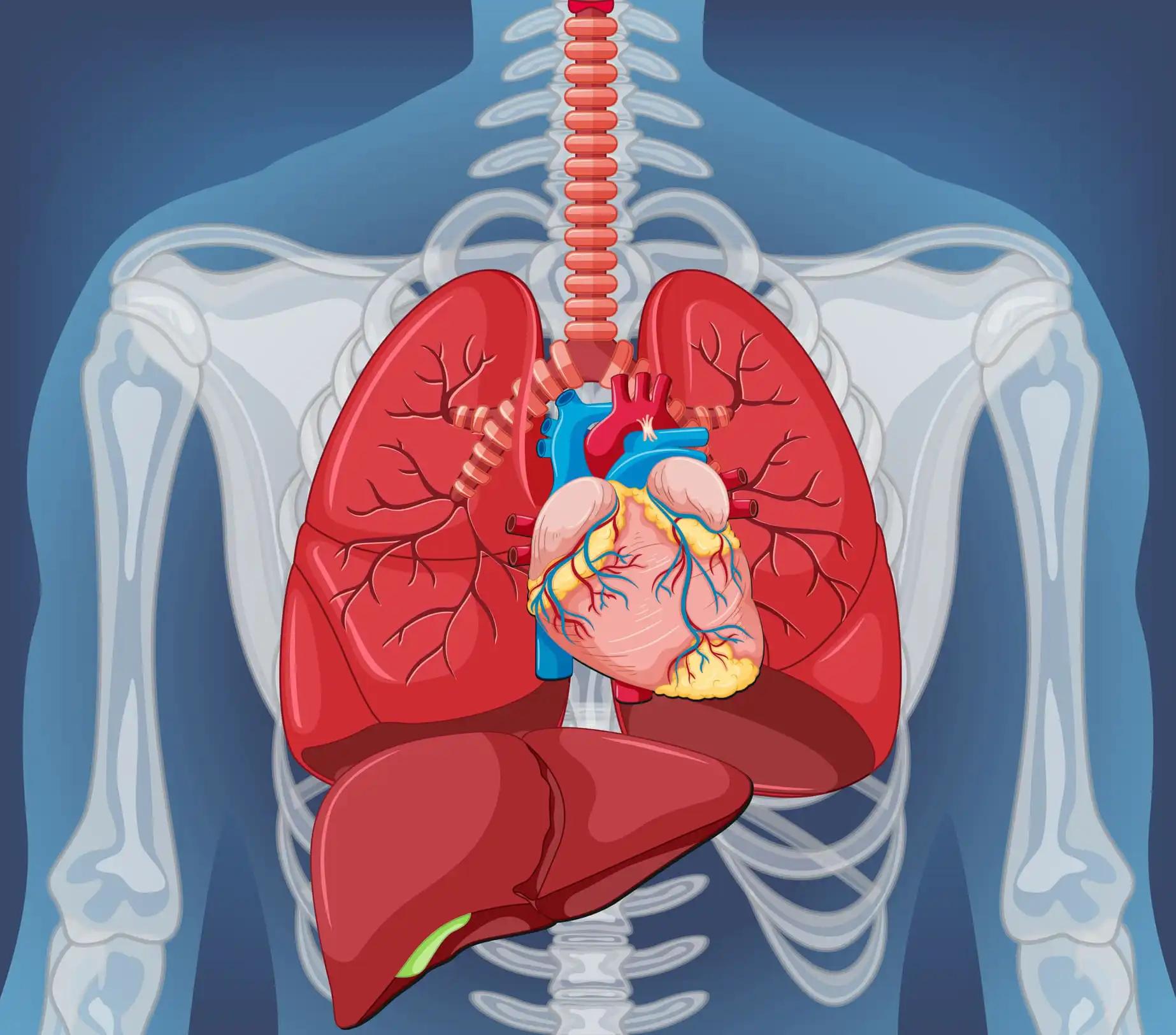 Sintilimab + Chemo for Non-Small Cell Lung Cancer 