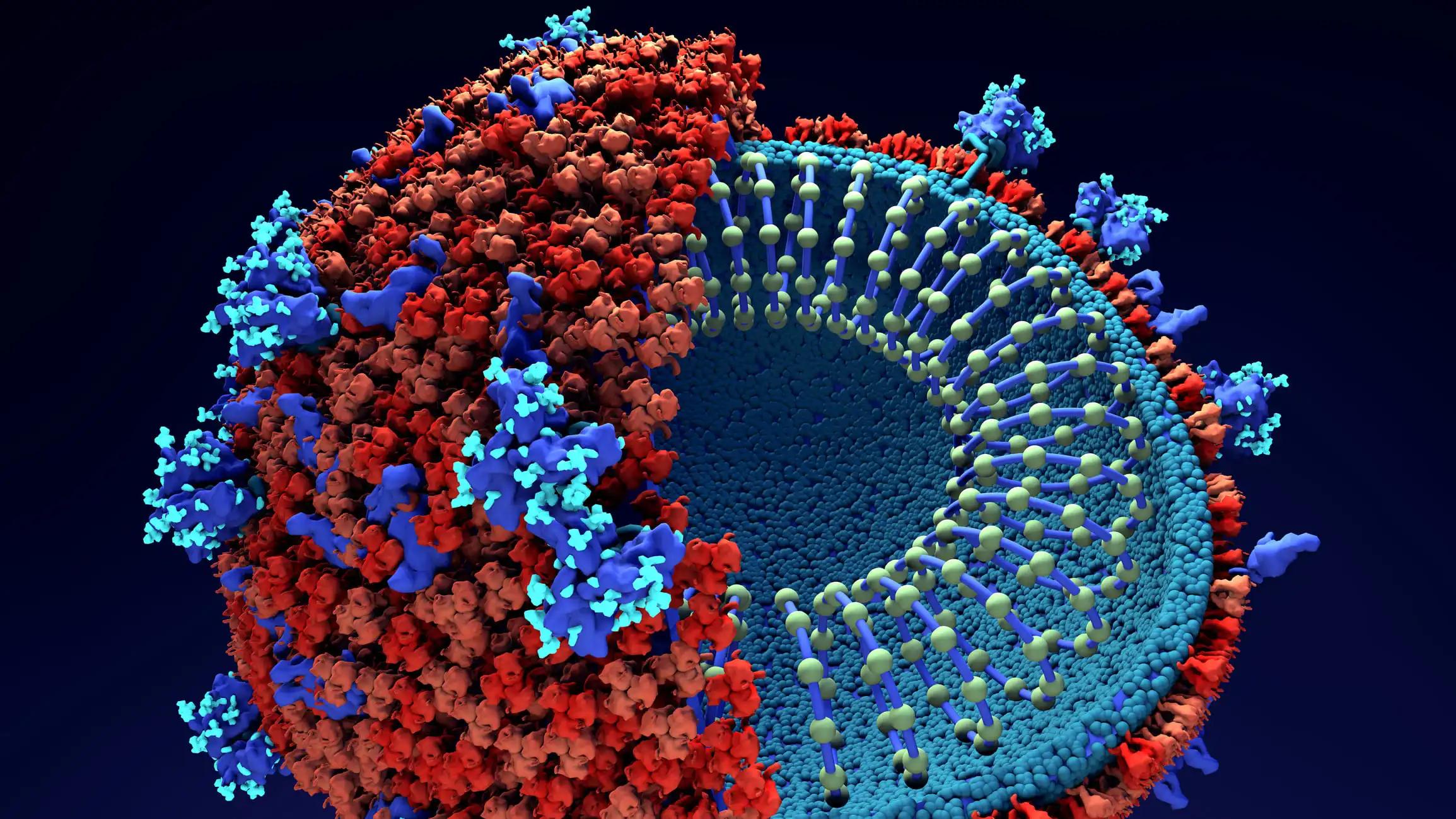 Sintilimab vs Placebo in Cancer Treatment