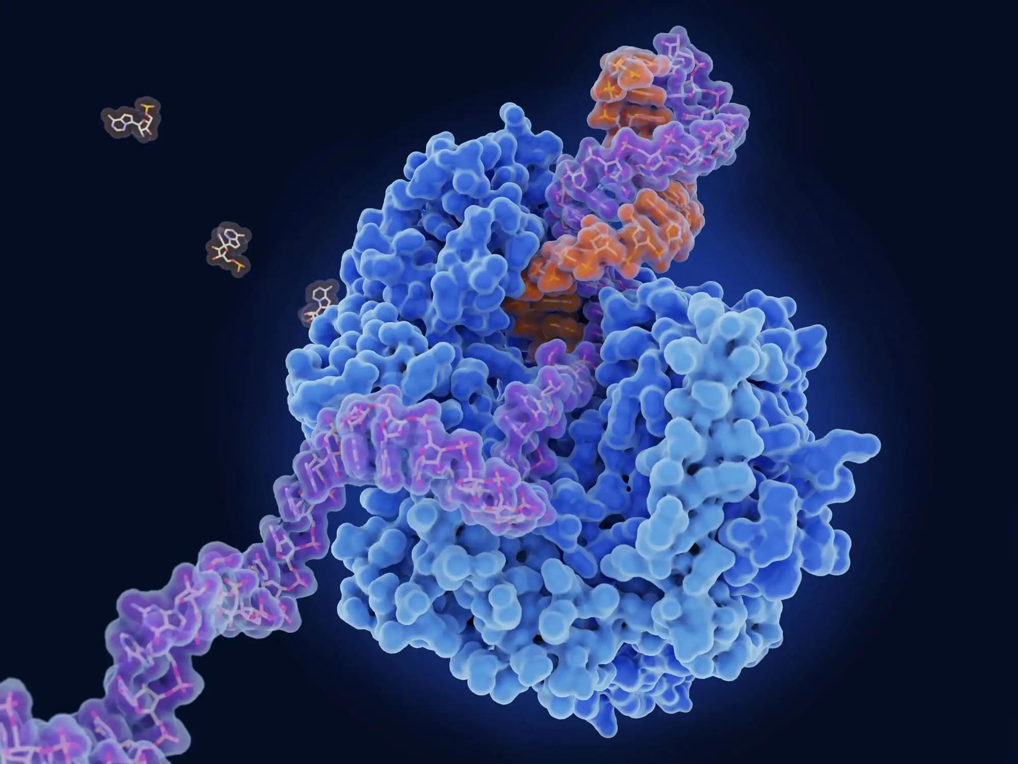 T-Cell Redirecting Immunotherapy