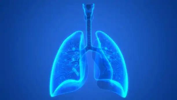 T-DXd as First-Line Therapy for Lungs