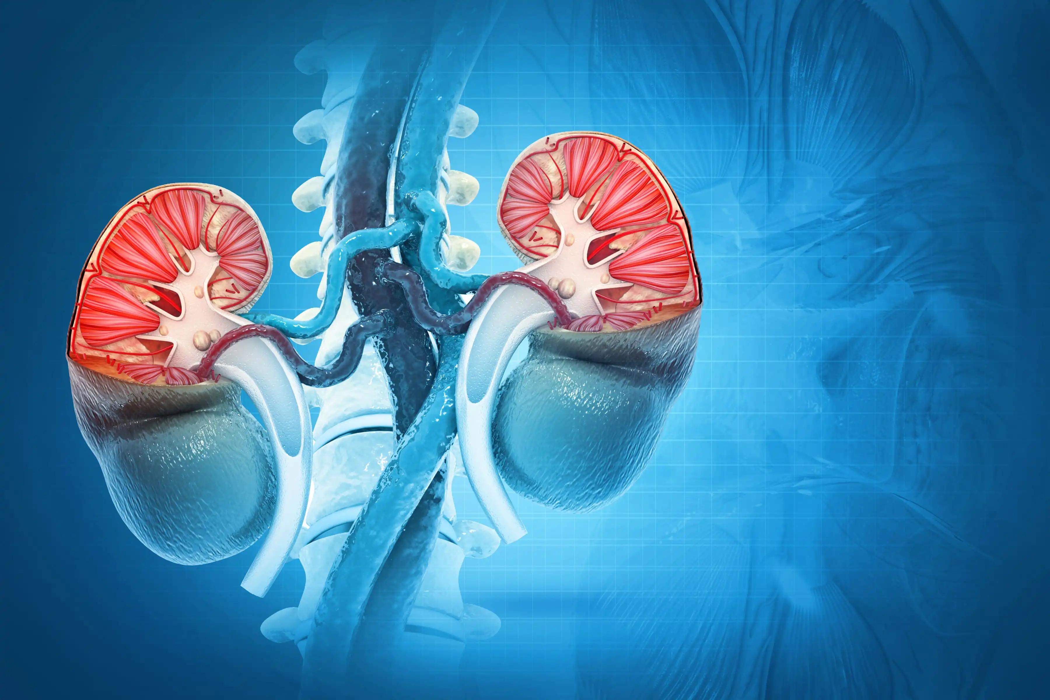 Theranostic in Kidney Cancer