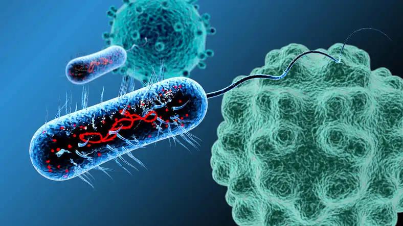 Large B-Cell Lymphoma Bacteria Virus Cell Macro