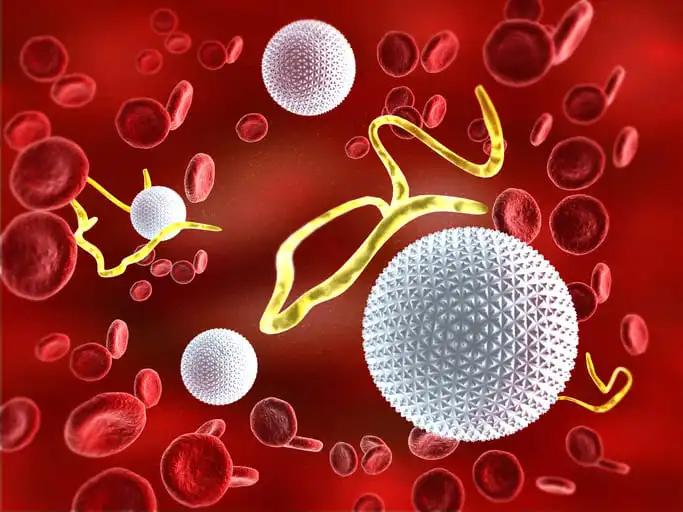 Multiple Myeloma Virus Infecting the Red Bloods Cells