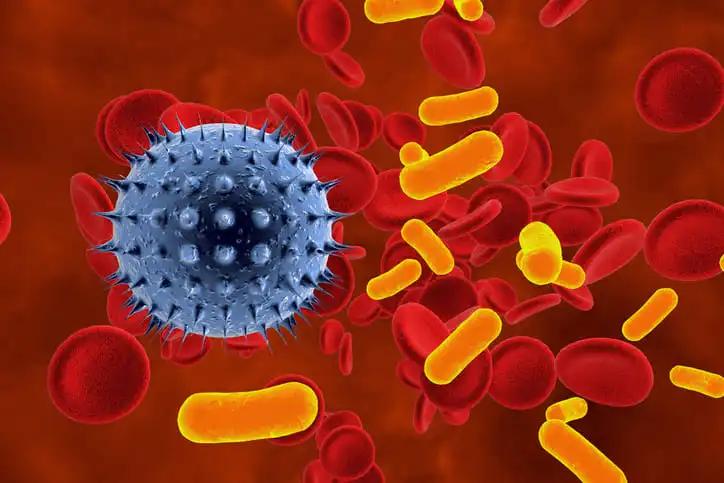 Virus and Bacteria in Blood with Red Blood Cells