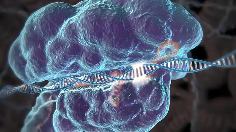 3D illustration Transformation of Genes with DNA Sequences into Functional Protein Structures. 