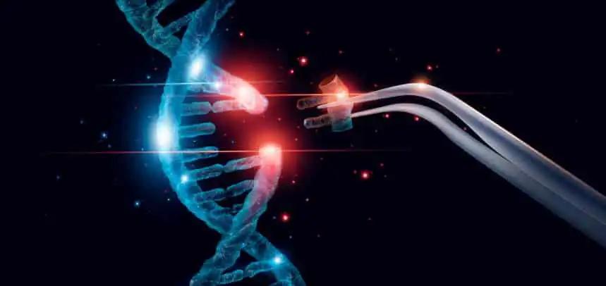 Electroporation in Cell and Gene Therapy