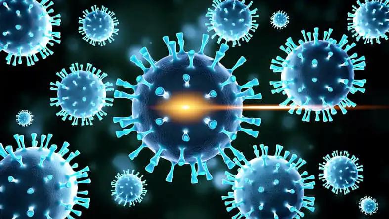 flu Viruses, bacteria cells infected organism