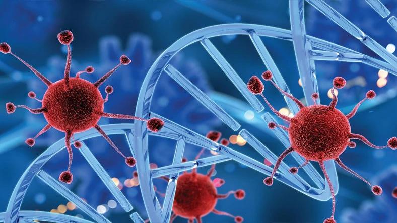 stabilizing and destabilizing mutations within the SARS-CoV-2 Virus