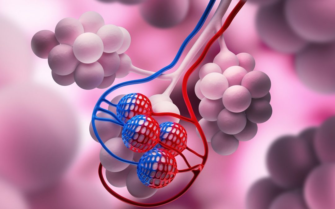 Efficacy of AL2846 + TQB2450 in PD-(L)1 Resistant NSCLC