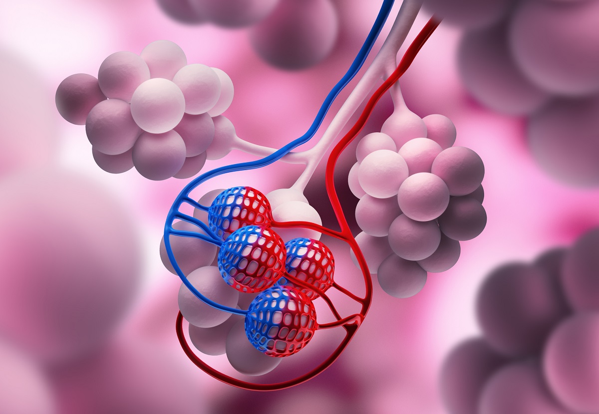 3D illustration of Alveoli in Lungs