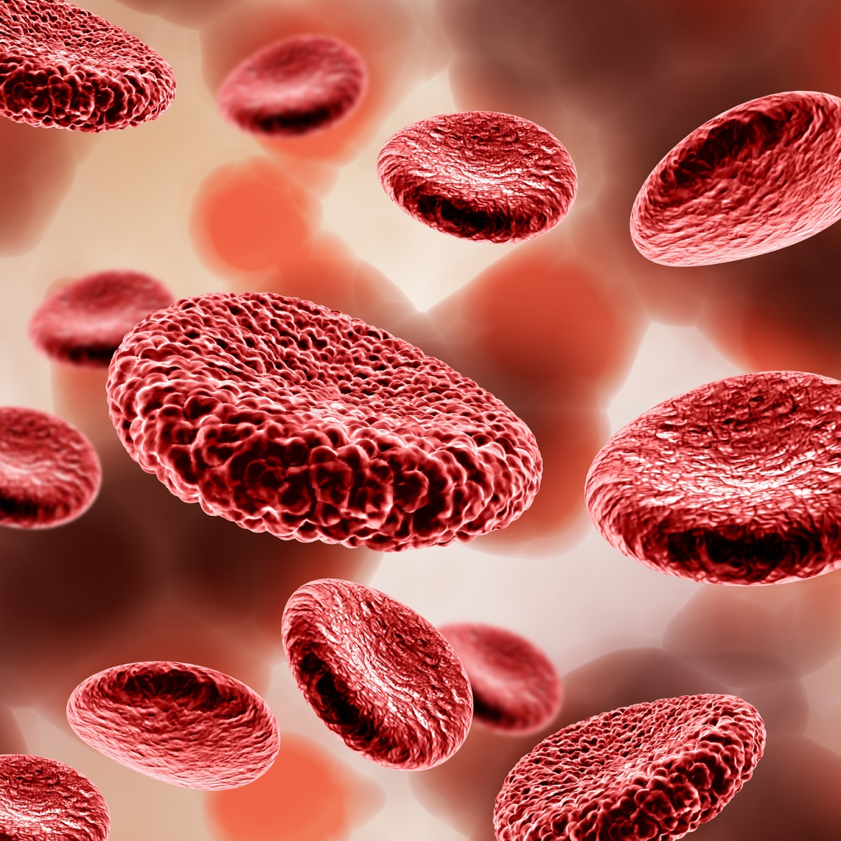 Red Blood Cell Count Predict TCR T-Cell Therapy in Ovarian Cancer