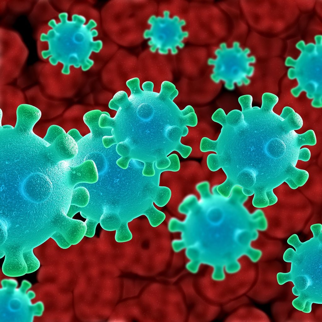 3D Rendering of Ovarian Cancer Virus Cells