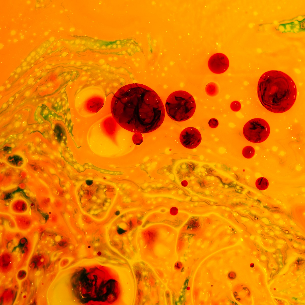 Three Cancer Cell DNAM-1 Blocking Antibodies